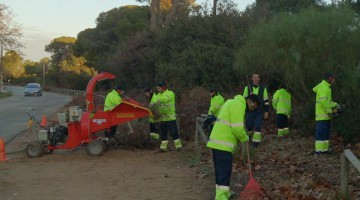 Trabajadores de anteriores Planes de Empleo del SAE.