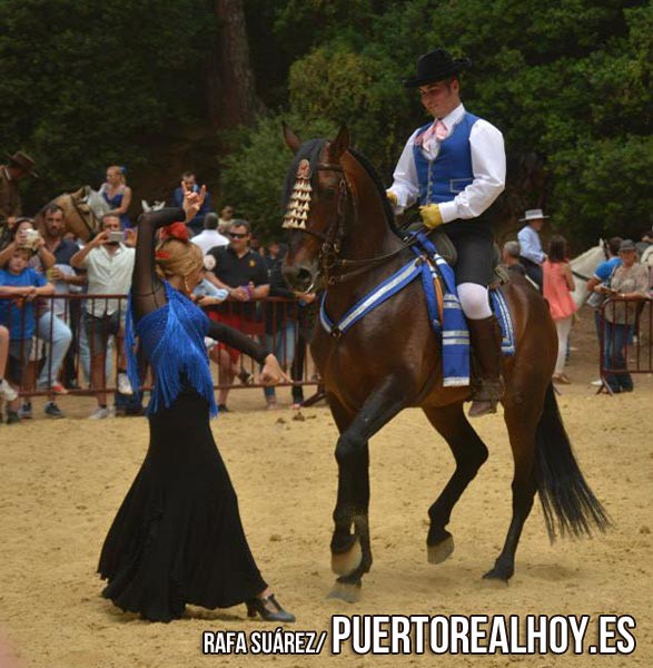 20150607_cultura_feria_jornada_caballo_01