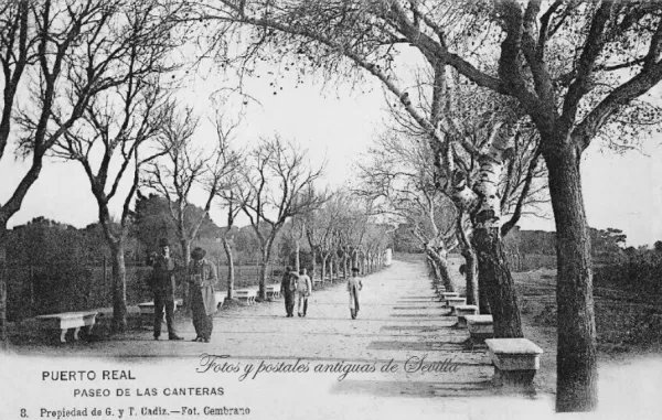 Paseo María Auxiliadora de Puerto Real en su camino hacia Las Canteras.